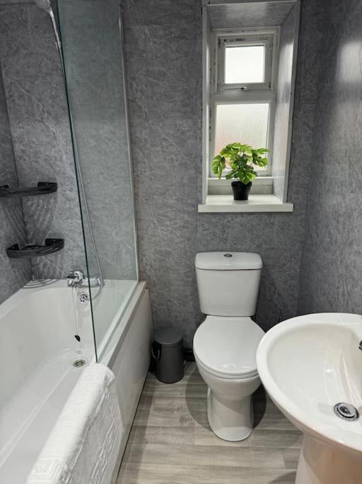 Apartment Luxury